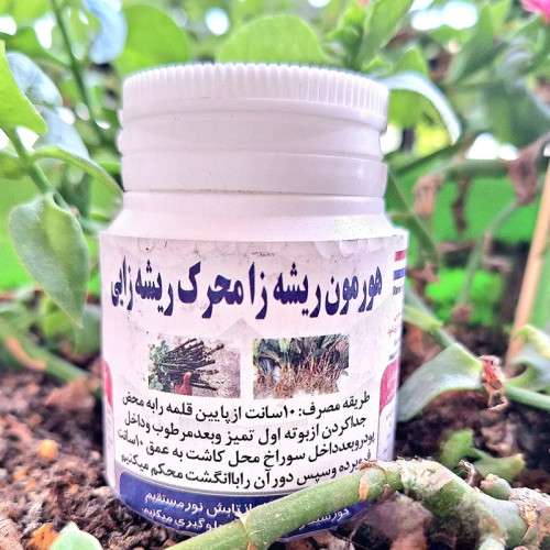 هورمون ریشه زایی .برای قلمه زدن انواع گیاهان